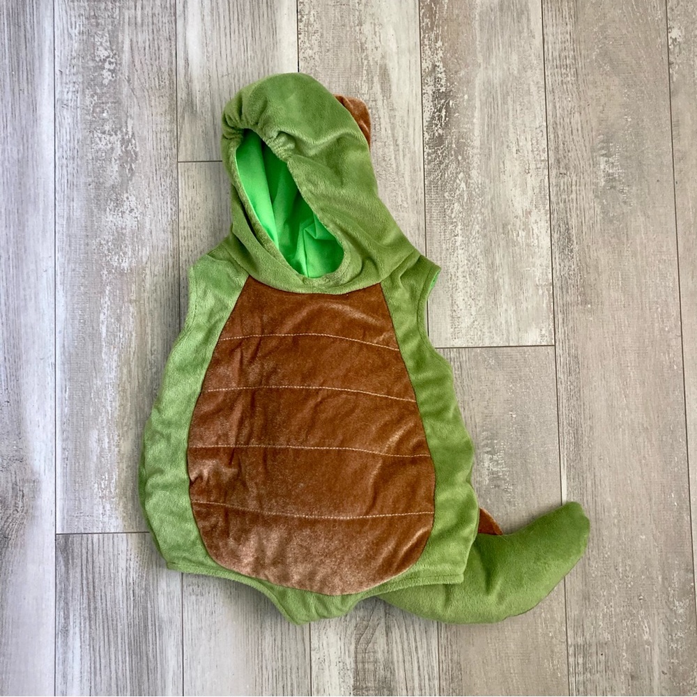 Dinosaur Costume